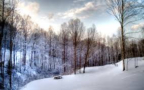 Free Desktop Wallpaper Snow Scenes 868by94 Picserio Com Check out this fantastic collection of new york winter wallpapers, with 44 new york winter background images for your desktop, phone or tablet. picserio com