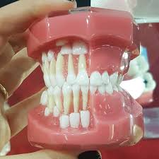 Pin On Dental Assistant