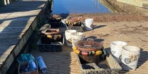 Mussel Basket Maintenance at the Bladensburg Waterfront Park