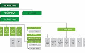 organization chart website