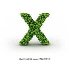 (goog) stock quote, history, news and other vital information to help you with your. Letter X Alphabet Green Leaves Isolated Stock Illustration 94425016 Shutterstock
