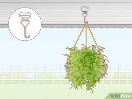 Then hang your plants on the jaws. Easy Ways To Hang Plants Without Holes 8 Steps With Pictures