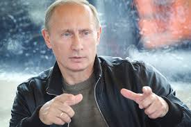 Now, putin actually oversees a number of research programs on various mammals that include polar bear and beluga whale and as well as wild cats. Don T Tease The Bear Why We Russians Love Putin More Than Ever The Seattle Globalist