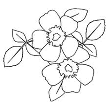 Here is a coloring page with two roses for coloring. Top 25 Free Printable Beautiful Rose Coloring Pages For Kids