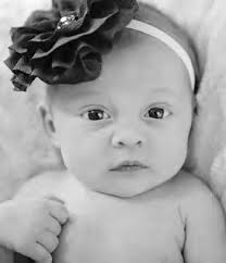 2016: The Year in Review Vehicles stolen New Year's Day