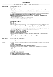 Professionally written free cv examples that demonstrate what to include in your curriculum vitae and how to structure it. Assistant It Manager Resume Samples Velvet Jobs