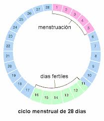Friki Girl Rastreando El Ciberespacio Conceiving A Boy Menstrual Cycle Conceiving A Girl