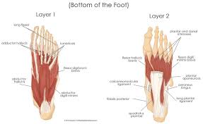 Military Disability Ratings For Conditions Of The Feet Legs