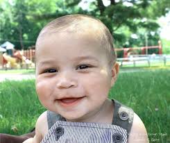 Weeping Willow Design Studio