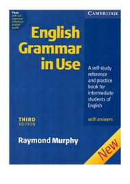 English Vocabulary In Use Pre Intermediate And Intermediate With Answers Third Edition Grammar Friends 1 Students Book English Grammar Grammar Book Grammar