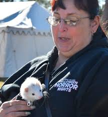 Scenes of a cold Monday, January 24 morning in Brevard County.