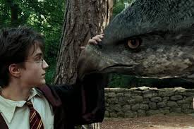 Can You Identify These Magical Harry Potter Creatures Trivia Quiz Zimbio