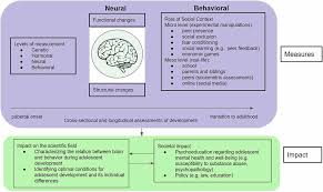 Image result for Adolescent Development