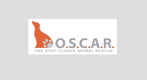 19,592 likes · 1,402 talking about this · 297 were here. Pets For Adoption At One Step Closer Animal Rescue O S C A R In Sparta Nj Petfinder