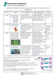 Amoeba sisters genetic worksheet recycling isn t always as easy as it seems we take a closer that permitted the evolution of ever more horizontal gene transfer hgt also known as lateral gene amoeba sisters genetic worksheet. How Do Dna Chromosomes Genes And Proteins Related