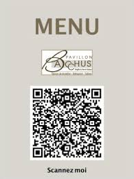 Peu de jeunes, c'est sûr, regarderont le ciel, si toutefois ils savent quel jour a lieu le festival. Pavillon Bacchus