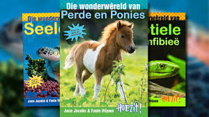 Nie Fiksie Fanie Viljoen