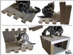 自製組合式diy 瓦楞紙系列可當貓跳台 貓抓板 貓隧道 貓睡床 cat scratchers cats scratcher