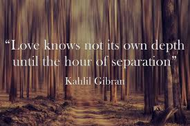 How on earth can you explain in terms of chemistry and physics so important a biolo. 35 Inspiring After Hour Quotes Happy Hour Earth Hour Quotes