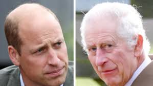 Guerilla gardeners use vacant land at Highgate Hill without permission of  owners