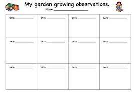 Plant Growing Observation Sheet Plants Observation Journal Plant Growth Chart Education Supplies