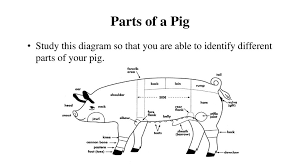 See pig parts stock video clips. National Junior Swine Association Ppt Download