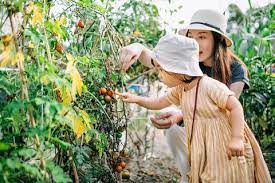 The Best Online Gardening Classes Of 2021