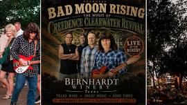 The Music of Creedence Clearwater Revival | Bad Moon Rising