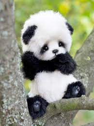 teddy bear panda pattern pdf pattern for sewing soft toy panda stuff panda pattern pdf cute panda baby baby animals funny cute animal pictures