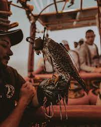 Bucket List A Hot Air Ballon Ride Over The Desert Of Dubai Away Lands Sand Dunes Falcons Vintage Land Rovers Hot Air Ballon Camping Near Me Air Ballon