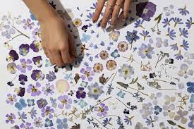 Using a glass tile, papertowel, scrap office paper, and. Pressed Flower Tips And Tricks From Our Studio Paperless Post Blog