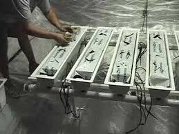 Top Feed Drip Hydroponics Youtube