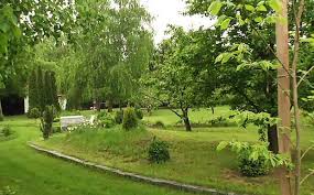 Galambos lajos, művésznevén lagzi lajcsi (budapest, 1961. Elkepeszto Luxusban El Lagzi Lajcsi Mutatjuk A Hazat Belulrol