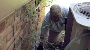A qualified alexander city flea control business will be able to ensure that your home is completely free of these pests so you no longer have to deal with them. Pest Control Alexander City Al Security Pest Control