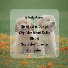 Dunya Kopekler Gunu