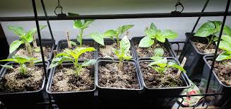 Image result for site:byggahus.se omvärdera