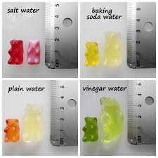 Gummy Bear Growth Free Printable Mamaisdreaming Blogspot Co Uk Kids Science Fair Projects Science Fair Science For Kids