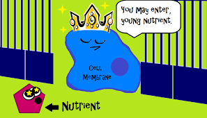 The Cell Membrane Is The Gate Keeper For Anything Trying To Pass Into Or Out Of The Cell It Helps Keep Our Bod Science Cells Biology Activity Teaching Biology The plasma membrane protects the cell from its external environment, mediates cellular transport, and transmits cellular signals. the cell membrane is the gate keeper