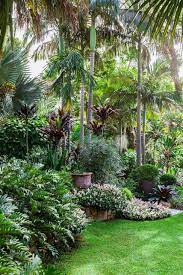 Their large leaves can change the scale of a small backyard to help it feel larger. Small Tropical Backyard Ideas Tropical Backyard Landscaping Tropical Garden Design Tropical Landscaping