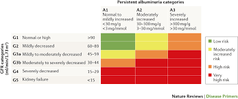 Chronic Kidney Disease Nature Reviews Disease Primers