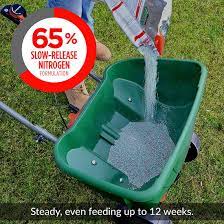 Check spelling or type a new query. 5 Reasons Not To Use Weed And Feed Before Rain