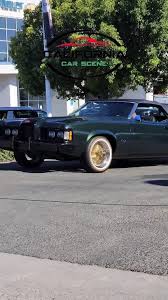 Cougar🏆🏆🏆 #spokesnvogues #bayarea