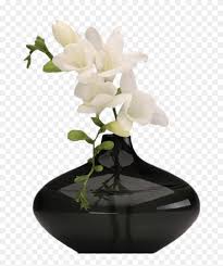 We did not find results for: Transparent Vase Clipart Transparent Flower Vase Png Png Download 675x923 6716988 Pngfind