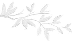 Donor Recognition (Jan. 1