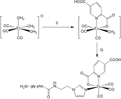 Replacing, for instance, 6 monodentate ligands with one hexadentate ligand would not change the coordination number. Mono Bi Or Tridentate Ligands The Labeling Of Peptides With 99mtc Carbonyls Alberto 2004 Peptide Science Wiley Online Library