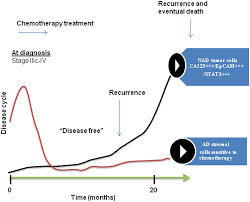 • how are recurrences treated? Plos One Isolation And Characterization Of Tumor Cells From The Ascites Of Ovarian Cancer Patients Molecular Phenotype Of Chemoresistant Ovarian Tumors
