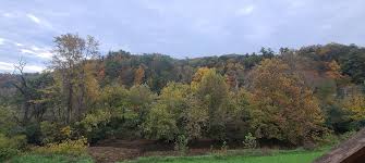 Creekfront Lodge Stay!