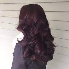 Dark Brown W Dark Red Tint Red Tint Hair Hair Tint Hair Styles