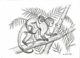 You will also draw out the smile line and tongue, then the eyebrows, nose, and cheeks. How To Draw A Monkey With These Easy Step By Step Tutorials