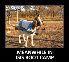 Bildresultat fÃ¶r funny military pics